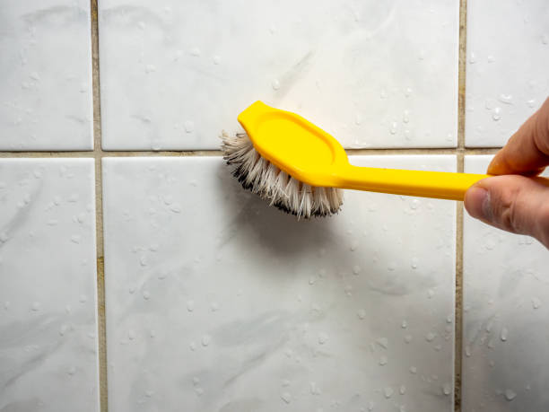 Best Local Mold Removal Service  in Chevy Chase Heights, PA