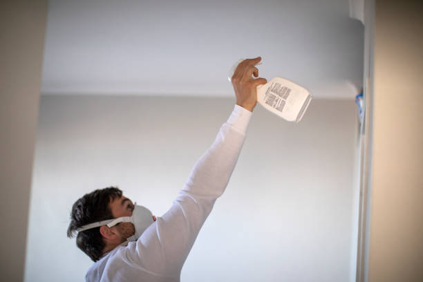  Chevy Chase Heights, PA Mold Removal Pros