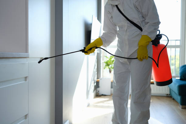 Best Water Damage Restoration  in Chevy Chase Heights, PA
