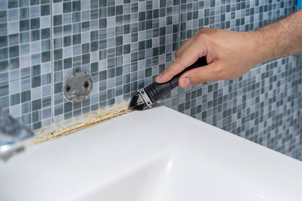 Best Fast Mold Removal  in Chevy Chase Heights, PA