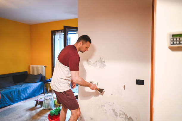Best Certified Mold Removal  in Chevy Chase Heights, PA